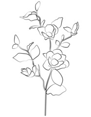 Flowers vector illustration. Line art of flowers