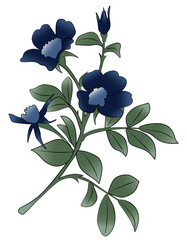 Flower vector illustration. Blue cornflower