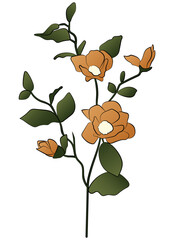 Vector illustration of beige flowers