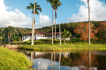 Beautiful Colonial house with a lake and palm trees