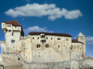 Fototapeta na wymiar Castle Liechtenstein in Lower Austria near Vienna