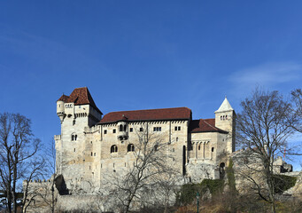 Fototapeta na wymiar Old stone Castle Liechtenstein in Lower Austria