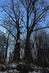 Single chapel in Garbów
