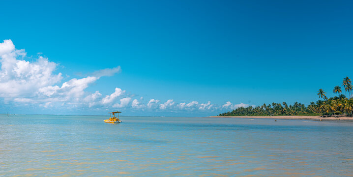 Beautiful beach with blue ocean on a clear sky day - Pernambuco - Brazil - Summer vacation