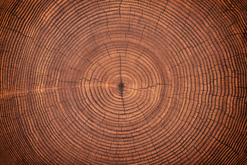 old wood texture with annual rings and cracks. wooden background - obrazy, fototapety, plakaty