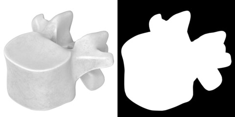 3D rendering illustration of a lumbar vertebra