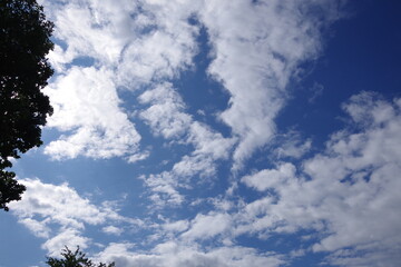 sky, 구름, blue, 구름, 네이처, 백, 일, 공기, 천국, 여름, 날씨, 흐린, 라이트, 기운, 태양, beautiful, 미, 공간, 햇빛, 경관, 똑똑하다, 명랑한, 기상학