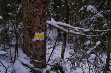 Znaki oznaczające drogę szlaku turystycznego, zimowa pora. © Adam Sadlak