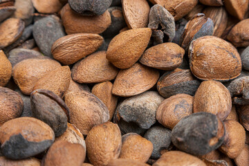 Ungeöffnete Süssmandeln