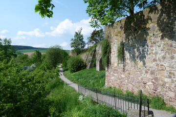 Fototapeta premium Stadtmauer in Blomberg
