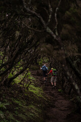 hikers