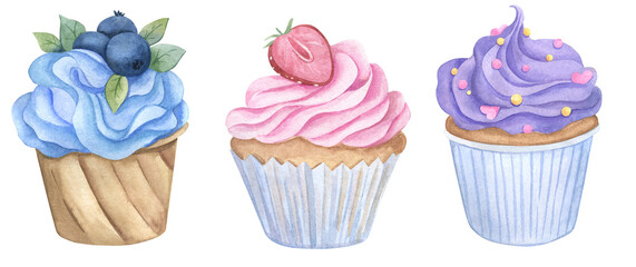 Cupcake hand drawn watercolor 