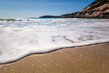 In the Edge of the Sea