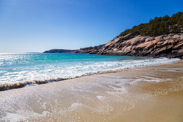 In the Edge of the Sea