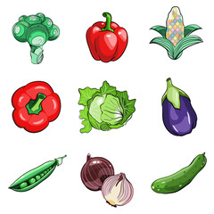 Set of vegetables: pepper, eggplant, cucumber, pear, onion, cabbage, broccoli, and corn in flat technique vector illustration 