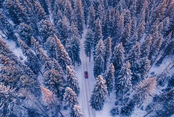 Fototapeta na wymiar Concept winter travel, aerial view. Red car driving on winding road through snowy forest, toning blue