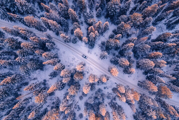White car driving on winding road through snowy forest, sun light. Concept winter travel, aerial view