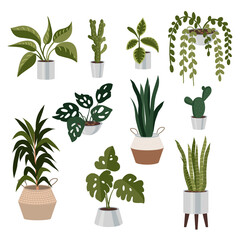Collection of home and office plants in stylish pots. Vector illustration.