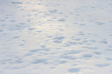 Snow. The texture of white snow. Background image.