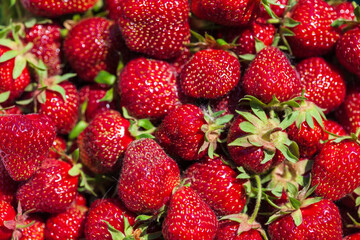 Background of freshly harvested red ripe strawberries. Close-up, top view.