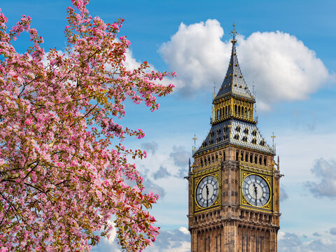 Big Ben tower in spring, London, UK - Powered by Adobe