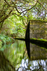 Old ledge with the reflection of trees in the fresh  water in Soa miguel