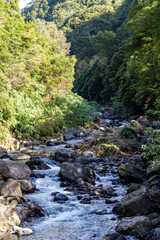 Fototapeta na wymiar Floating river in green forest form waterfall in Sao Miguel the Azores 
