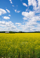 Obraz premium Countryside view