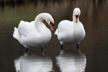 Can you see something down there