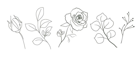 A set drawn in one line with flowers, buds and leaves on the branches. One line.  Contour drawing of roses and foliage isolated on a white background. Vector design