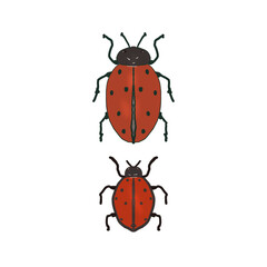 Cute red ladybird insect in a flat style. 