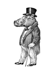 Fashionable hippopotamus. Antique gentleman in a jacket and a top hat. Victorian Ancient Retro Clothing. A man in a suit. Vintage engraving style. Hand drawn old monochrome sketch.