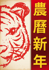 Scroll with Frontal View of Tiger Face for CNY, Vector Illustration
