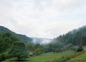 Moore