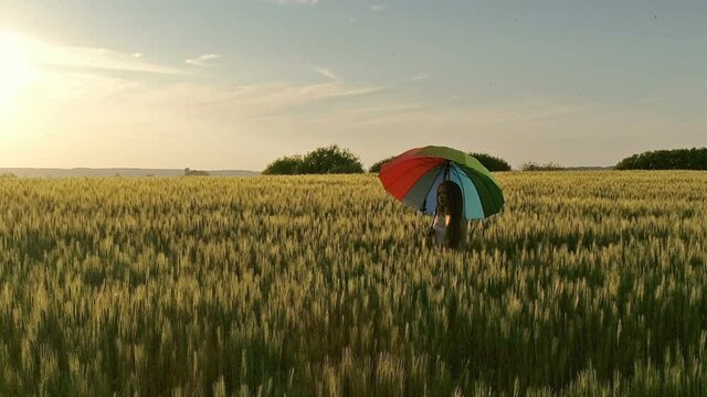 Cute girl with a multicolored umbrella walking in a wheat field at sunset, flying around