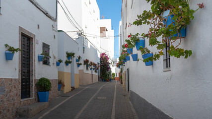 Typical Andalusian street with houses full of pots with flowers in the beautiful and touristic village of Conil de la Frontera, Cadiz, Andalusia, Spain
