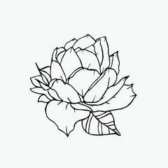 Cute single hand drawn floral elements. Doodle vector illustration