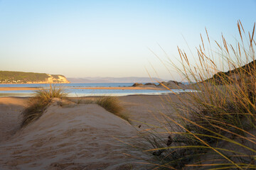 Sand dunes on the beach at cape Trafalgar at sunset, Canos de Meca, Cadiz, Andalusia, Spain