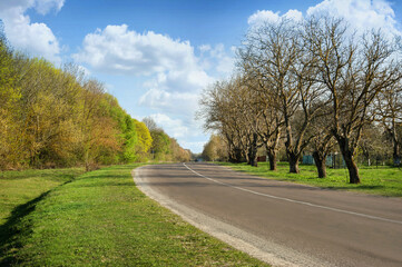 Fototapeta premium asphalt road in countryside on sunny spring day