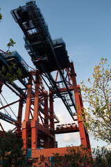 Fototapeta na wymiar Container-Kräne im Hamburger Hafen