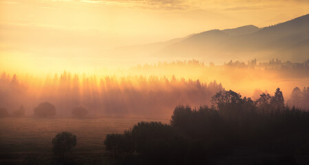 sunrise in the mountains