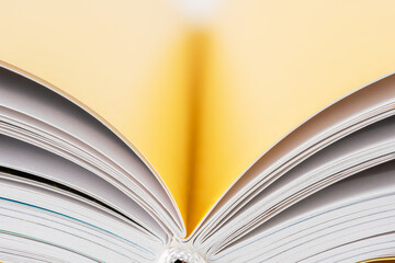 Macro view of opened book pages with toned soft background

