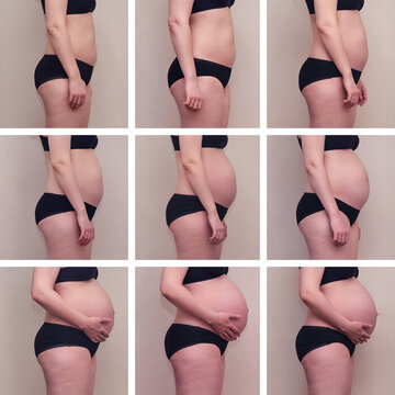 Collage Pregnant Woman Beginning To End, Nine Months Before And After Pregnancy