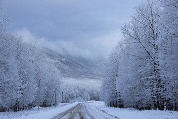 snow covered road