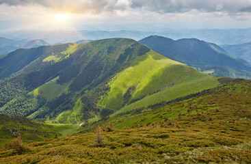 Fototapeta premium Idyllic landscape in the Alps with fresh green meadows and blooming flowers