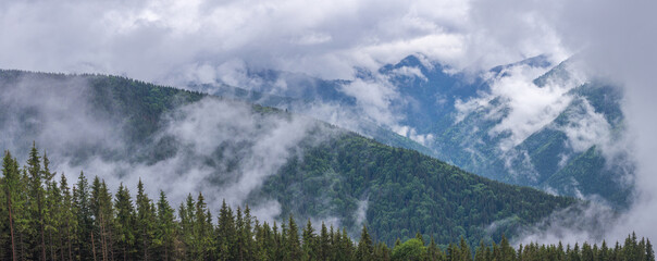 Fototapeta premium Majestic view on beautiful fog mountains in mist landscape. Dramatic unusual scene. Travel background. Exploring beauty world.