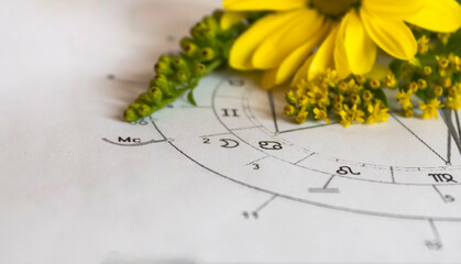 Close up of a natal chart with astrology Moon; yellow  flowers in the background