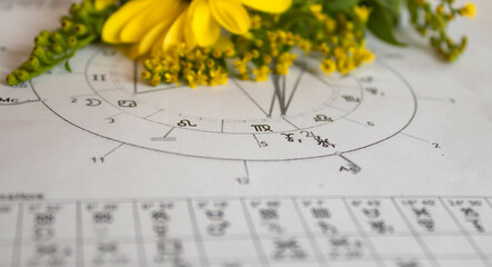 Close up of a natal chart with astrology planets, Jupiter, Uranus and Pluto; yellow  flowers in the...