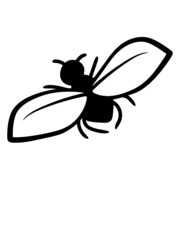 Design Nervige Fliege 