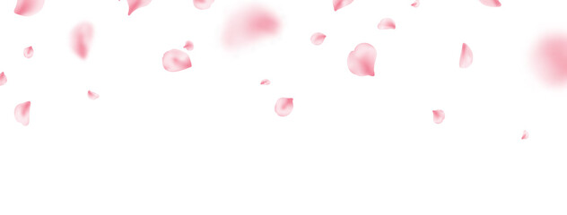 Sakura spring blossom border. Flower petal flying background. Pink rose composition. Beauty Spa product frame. Valentine romantic card. Light delicate pastel design. Vector illustration © Liubov